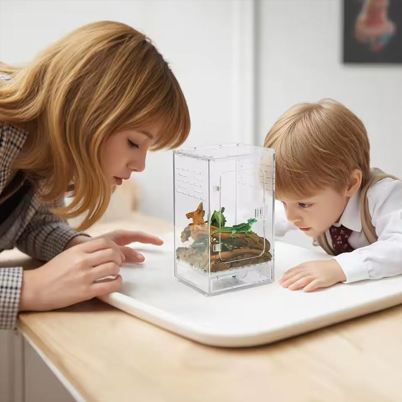 Acrylic Reptile Cage - Lizard/Spider/Insect Feeding Terrarium