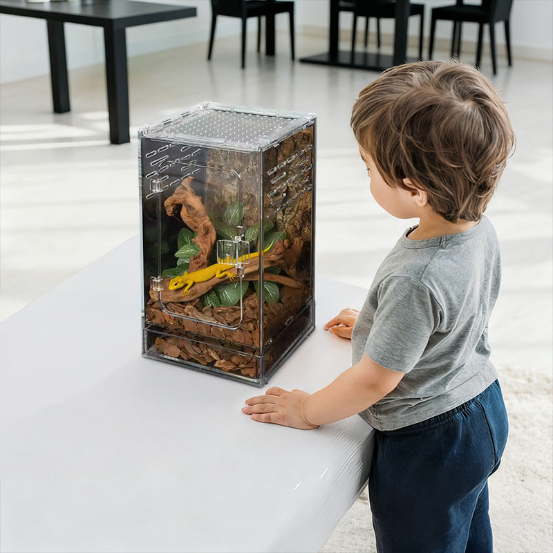 Acrylic Reptile Cage - Lizard/Spider/Insect Feeding Terrarium