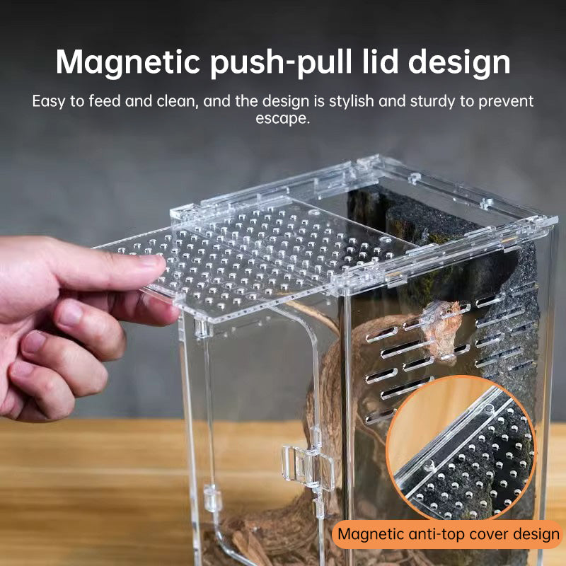 Acrylic Reptile Cage - Lizard/Spider/Insect Feeding Terrarium