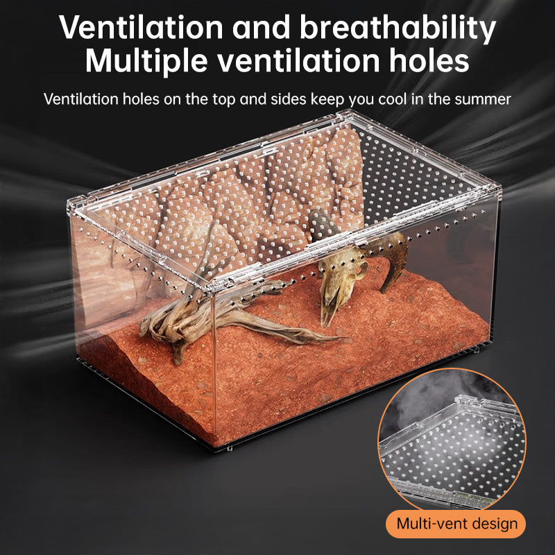 Acrylic Reptile Cage - Lizard/Spider/Insect Feeding Terrarium