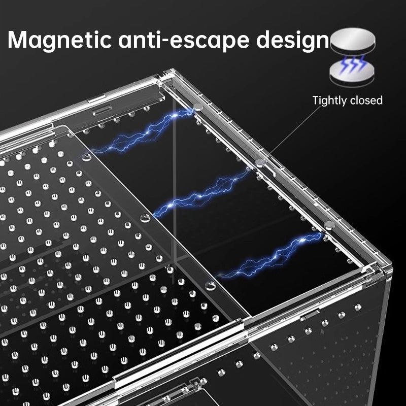 Acrylic Reptile Cage - Lizard/Spider/Insect Feeding Terrarium